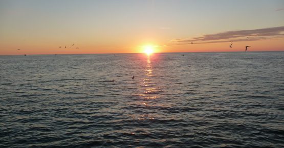 this is a sunset at naples pier